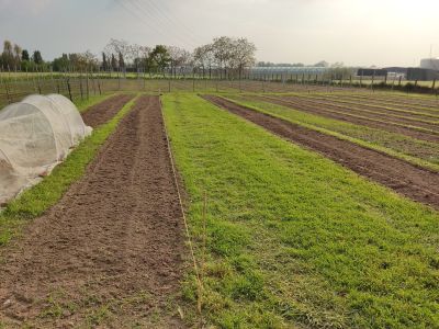 moestuinieren met respect voor diversiteit