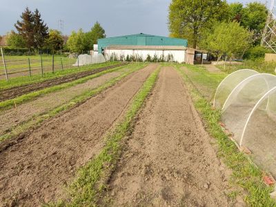 moestuinieren met respect voor diversiteit