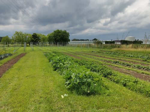 GezondeKweek 1 jaar later!